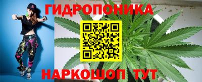 шишки Комсомольск-на-Амуре