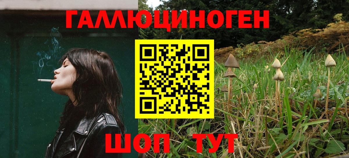 Галлюциногенные грибы мицелий  Вход с VPN  Кстово 