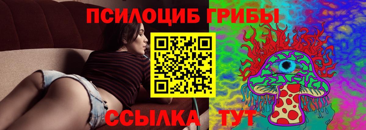 Псилоцибиновые грибы мицелий Кстово